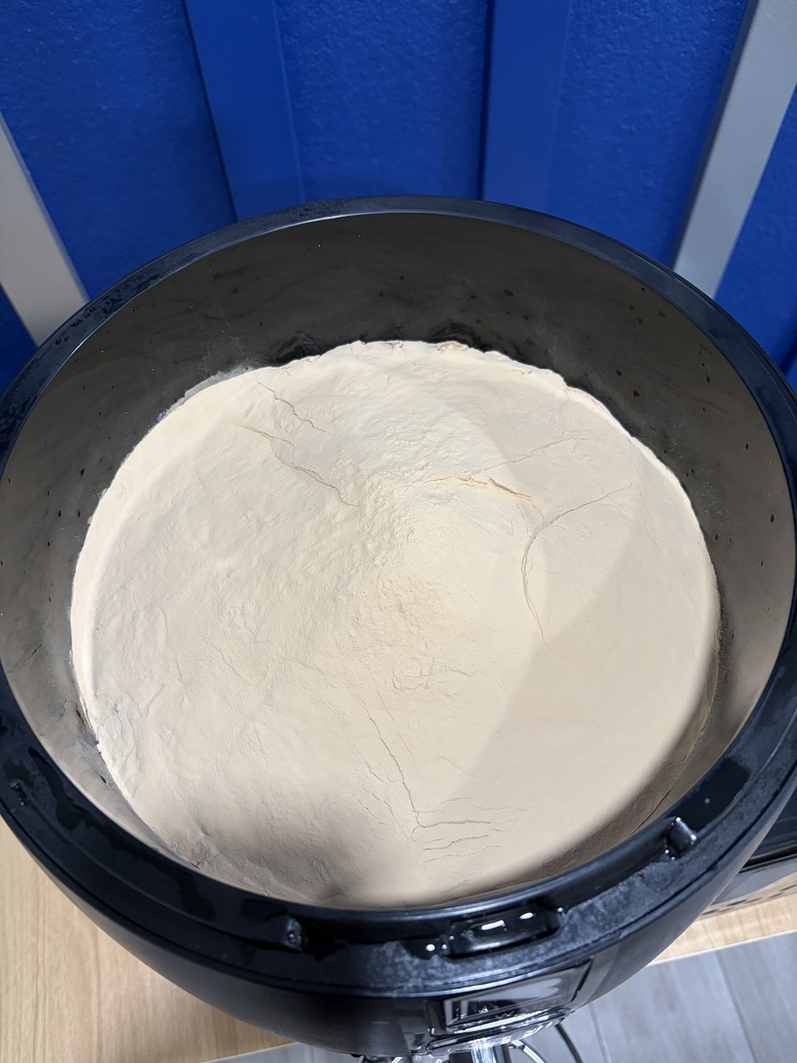 German Weissbierの材料を投入した直後の液面