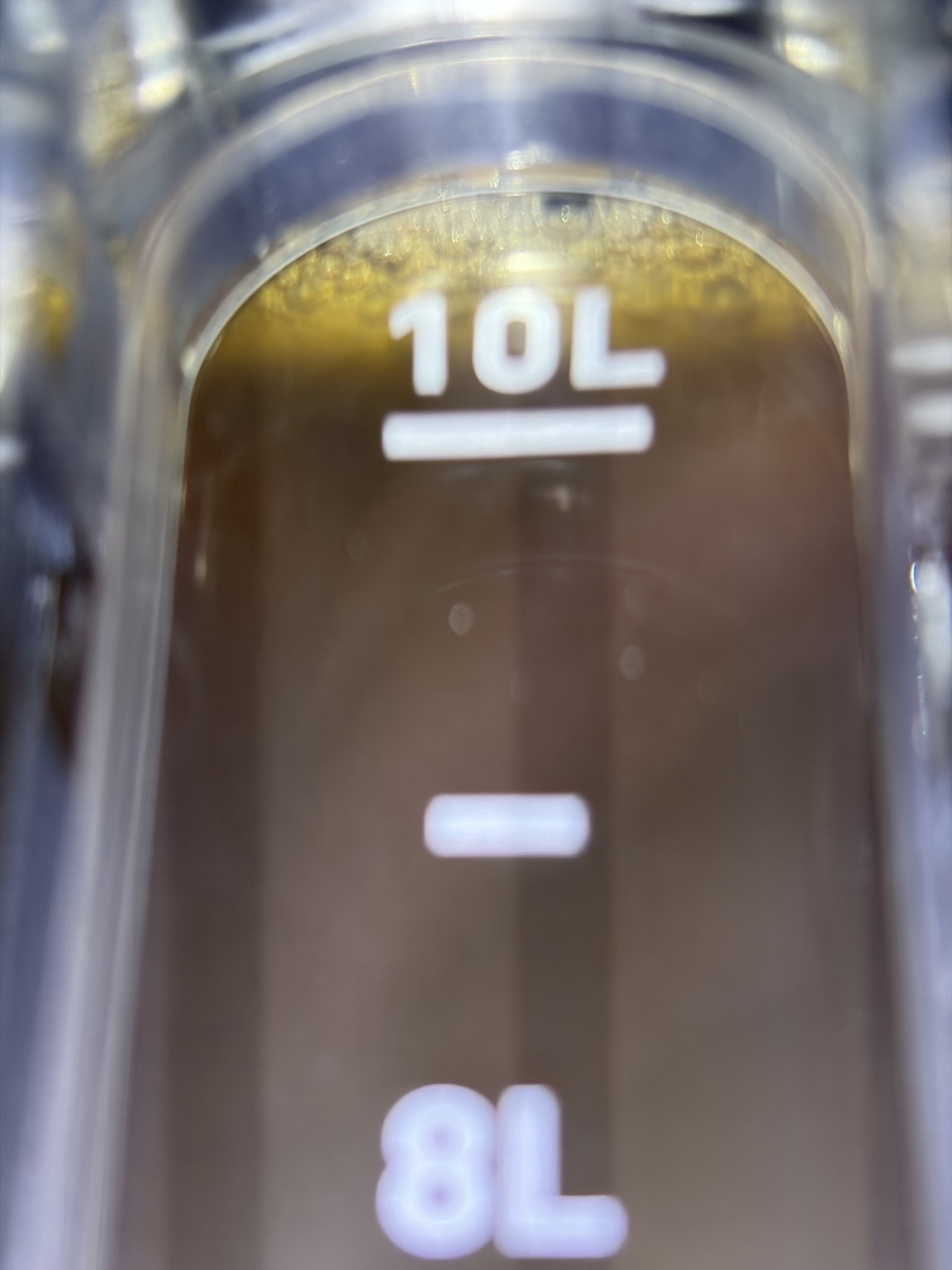 German Weissbier発酵5日後のクラウゼンの様子