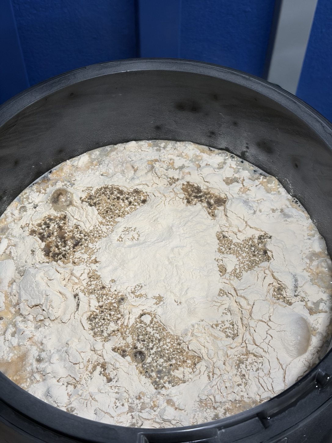 Fresh dry ingredients floating on the wort surface