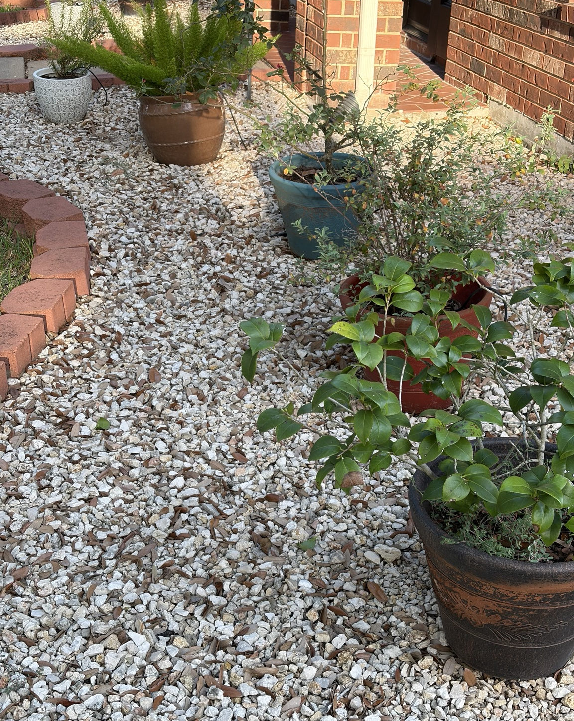 Houstonの前庭に並ぶ複数の屋外鉢植え