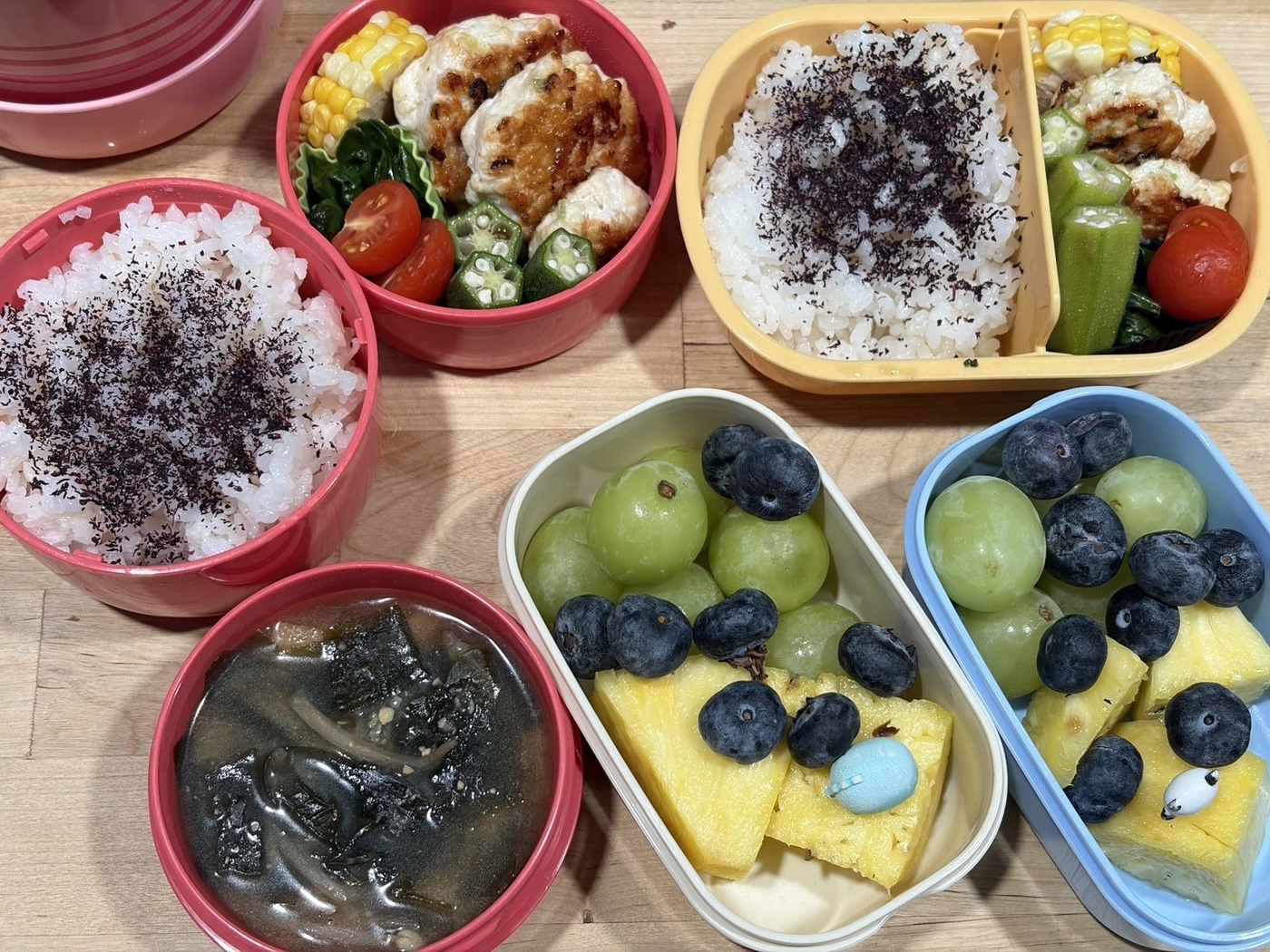 DAY 08 2回目の鶏つくね弁当
