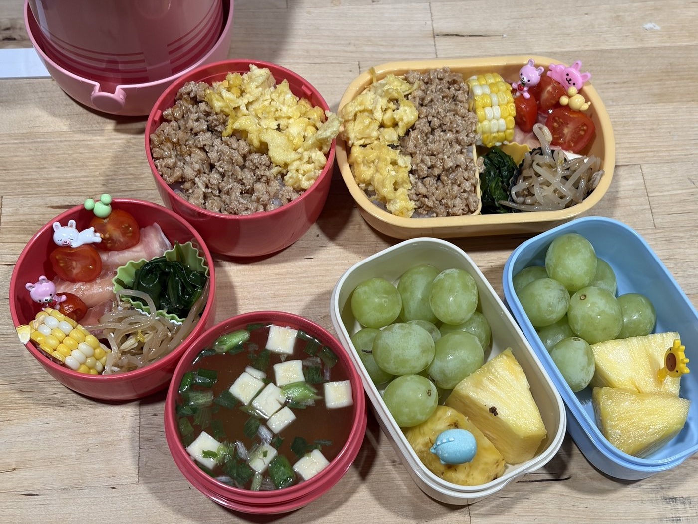 DAY 10 鶏そぼろと卵のお弁当