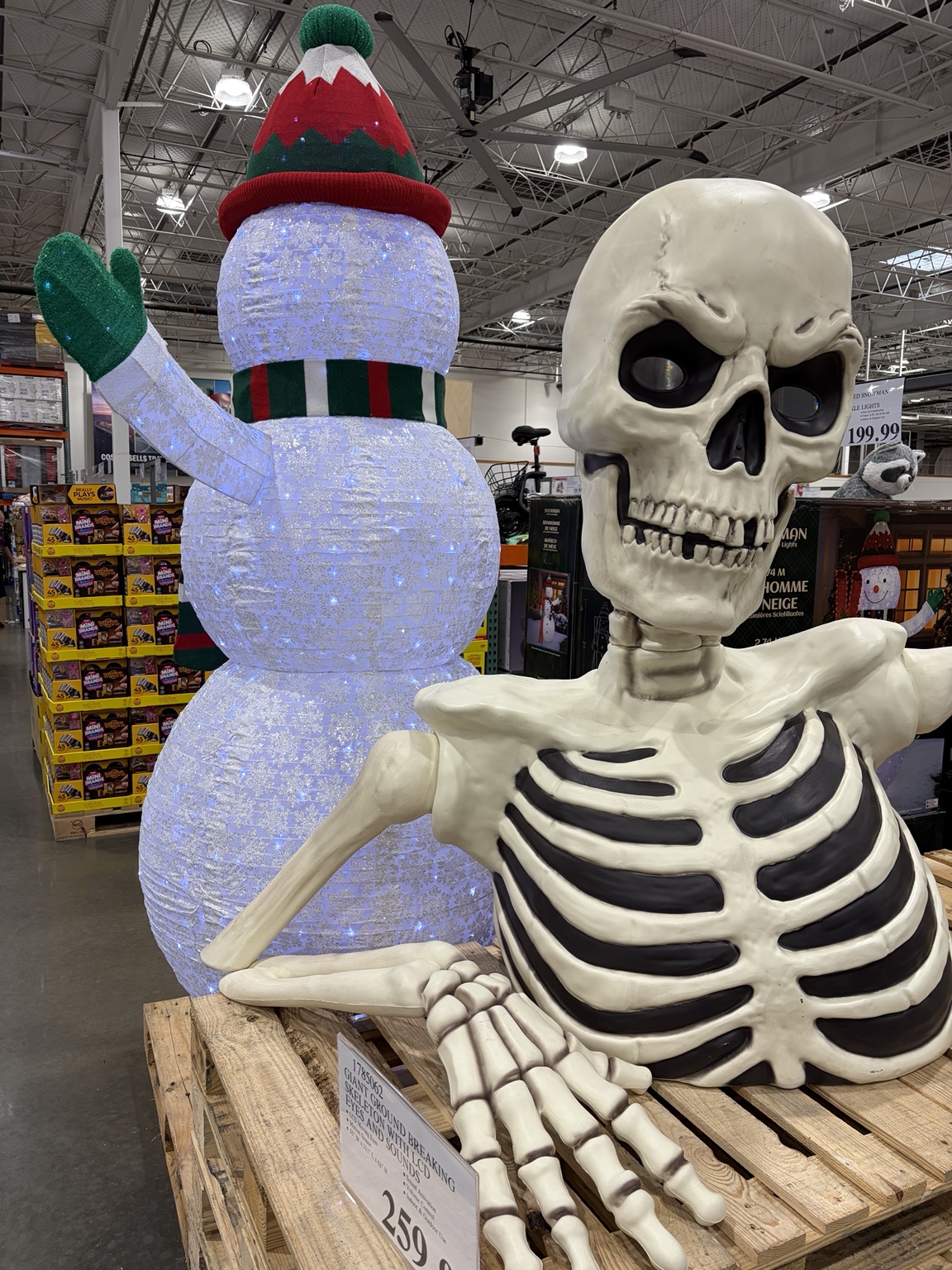 Costco店内で並んで展示されたSnowmanとHalloweenのSkeleton